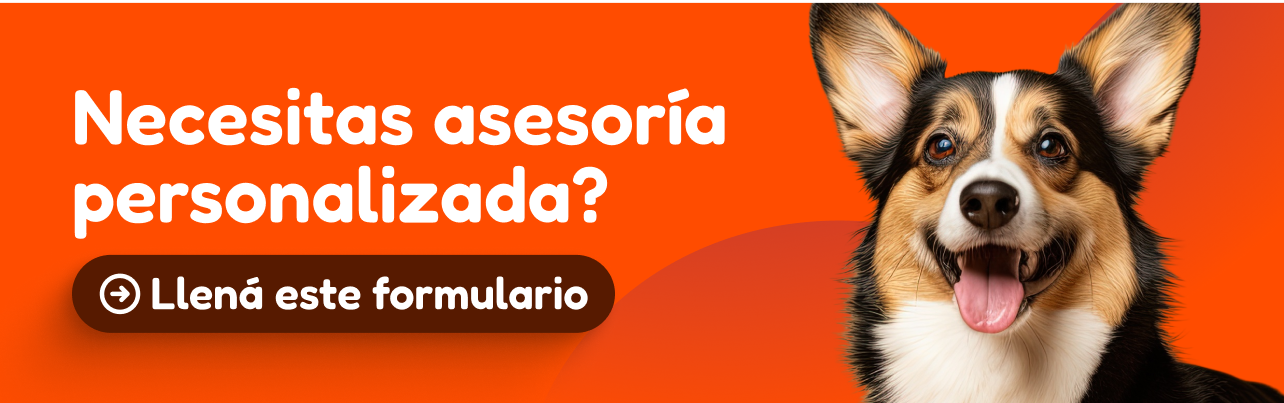 Asesoría personalizada